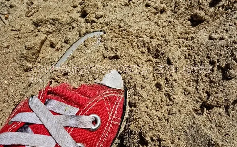 易昂体育3百度教育2024 年最新高中生男生运动鞋：时尚、舒适和
耐用