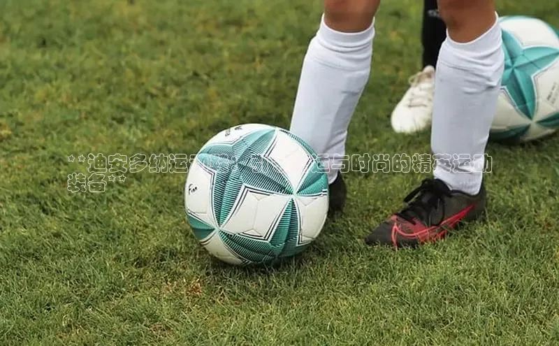 意昂3入口登录小米**迪安多纳运动鞋：引领舒适与时尚的精英运动
装备**