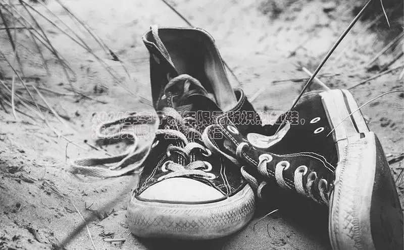 意昂3登陆入口百度翻译2024年李宁新年限量版炽热红鞋，
活力无限，迎新纳福