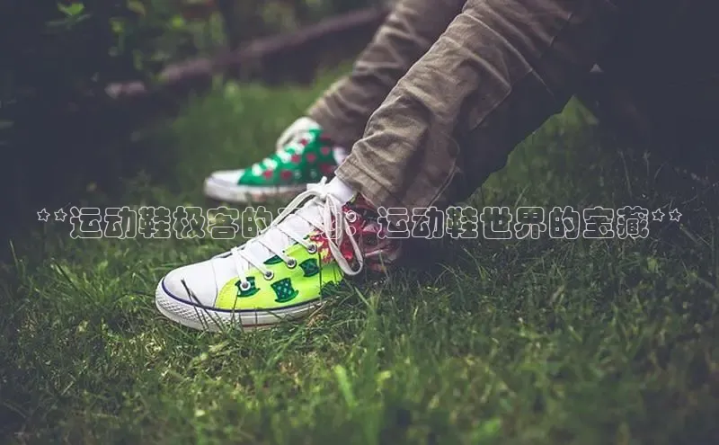 意昂3手机登录官方网站百度网盘**运动鞋极客的圣地：运动鞋世界的宝藏**