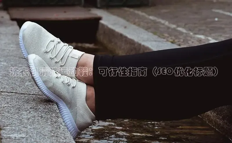 意昂三登录入口极氪智能科技洗衣机清洗运动鞋：可行性指南（SEO优化标题）