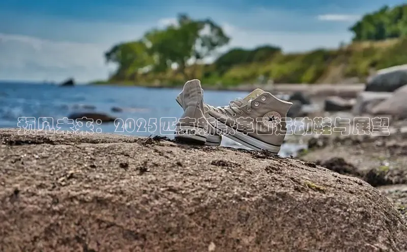 预见未来：2025匹克新款革面运动鞋与展望