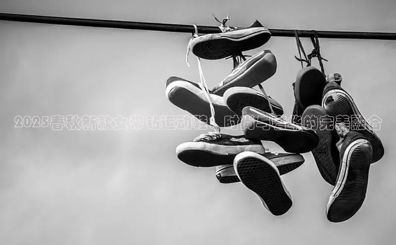 意昂官网入口登录